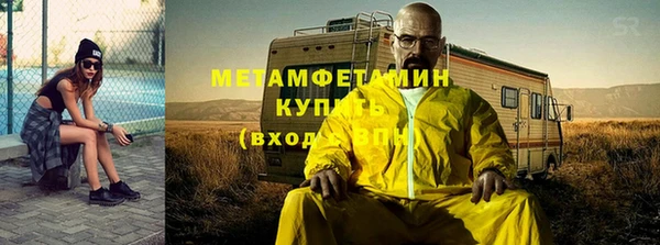 прущие грибы Бронницы
