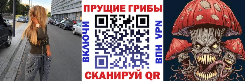 Галлюциногенные грибы мицелий  Венёв 