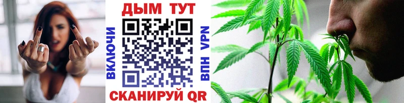 Бошки Шишки VHQ  купить   Венёв 